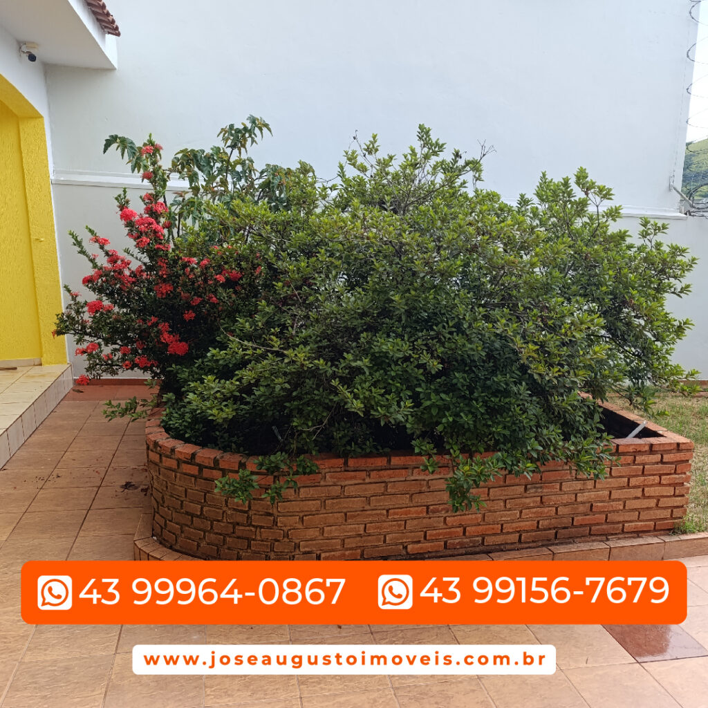 SITE JARDIM SÃO PEDRO-06