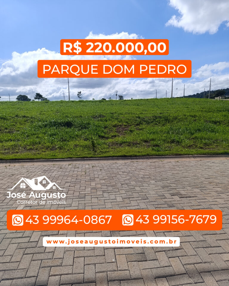 PARQUE DOM PEDRO-01