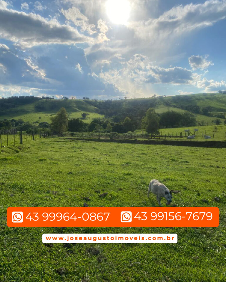 SITIO 1,36 ALQUEIRES-002