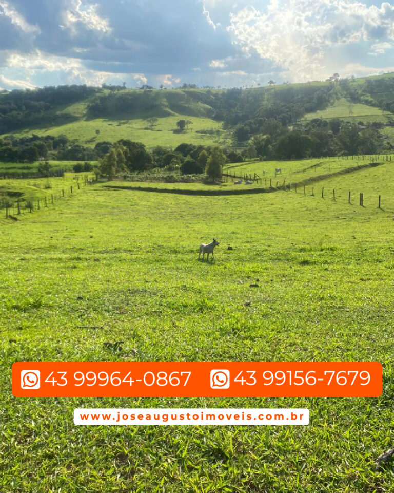 SITIO 1,36 ALQUEIRES-003