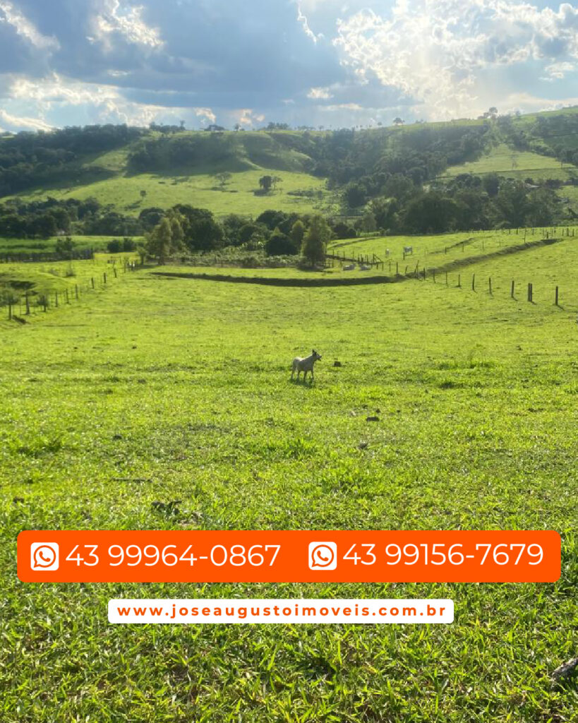 SITIO 1,36 ALQUEIRES-003
