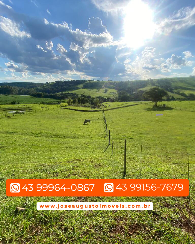 SITIO 1,36 ALQUEIRES-004