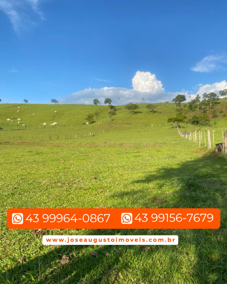 SITIO 1,36 ALQUEIRES-005